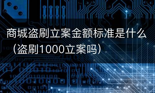 商城盗刷立案金额标准是什么（盗刷1000立案吗）