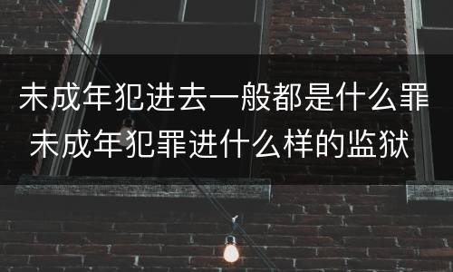 未成年犯进去一般都是什么罪 未成年犯罪进什么样的监狱