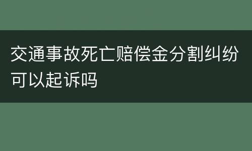 交通事故死亡赔偿金分割纠纷可以起诉吗