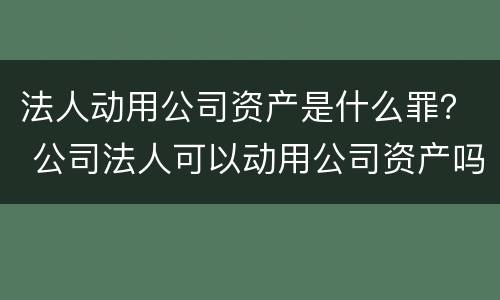 法人动用公司资产是什么罪？ 公司法人可以动用公司资产吗