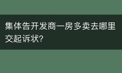 集体告开发商一房多卖去哪里交起诉状？