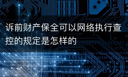 诉前财产保全可以网络执行查控的规定是怎样的