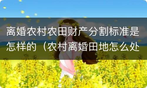 离婚农村农田财产分割标准是怎样的（农村离婚田地怎么处理）