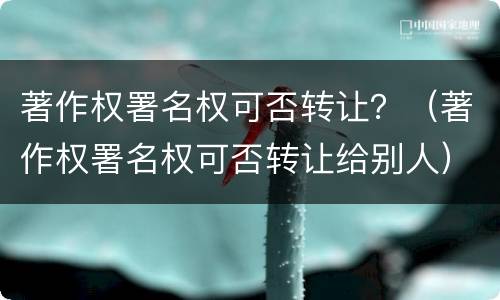 著作权署名权可否转让？（著作权署名权可否转让给别人）