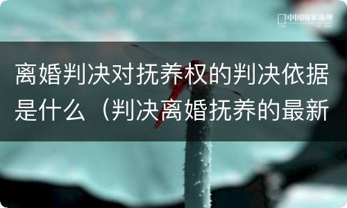 离婚判决对抚养权的判决依据是什么（判决离婚抚养的最新规定）