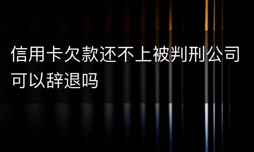 信用卡欠款还不上被判刑公司可以辞退吗