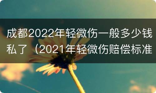 成都2022年轻微伤一般多少钱私了（2021年轻微伤赔偿标准）