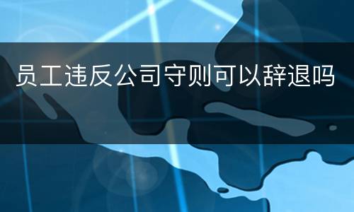 员工违反公司守则可以辞退吗