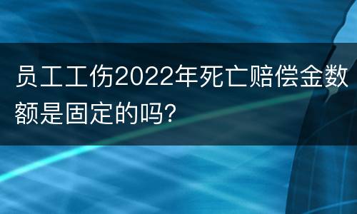 员工工伤2022年死亡赔偿金数额是固定的吗？