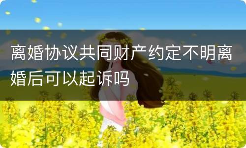 离婚协议共同财产约定不明离婚后可以起诉吗