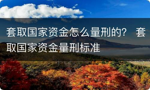 套取国家资金怎么量刑的？ 套取国家资金量刑标准