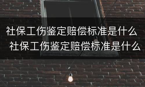 社保工伤鉴定赔偿标准是什么 社保工伤鉴定赔偿标准是什么意思