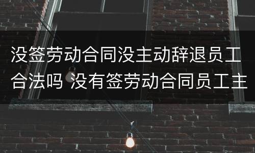 没签劳动合同没主动辞退员工合法吗 没有签劳动合同员工主动辞职有补偿吗