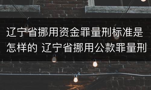 辽宁省挪用资金罪量刑标准是怎样的 辽宁省挪用公款罪量刑标准