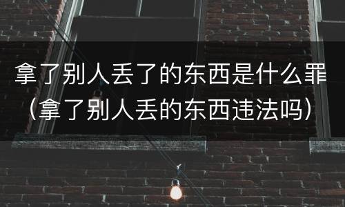 拿了别人丢了的东西是什么罪（拿了别人丢的东西违法吗）