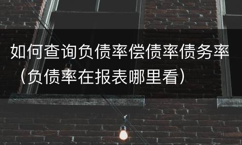 如何查询负债率偿债率债务率（负债率在报表哪里看）