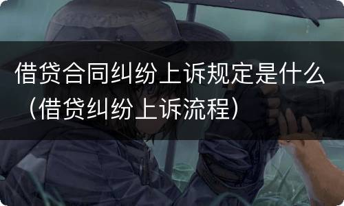 借贷合同纠纷上诉规定是什么（借贷纠纷上诉流程）