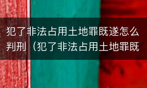 犯了非法占用土地罪既遂怎么判刑（犯了非法占用土地罪既遂怎么判刑的）