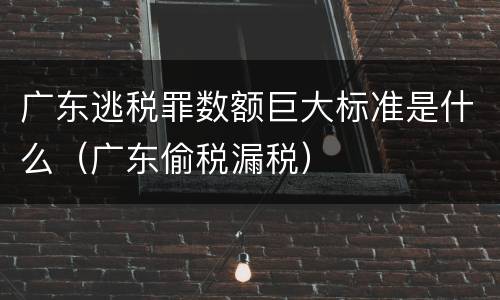 广东逃税罪数额巨大标准是什么（广东偷税漏税）