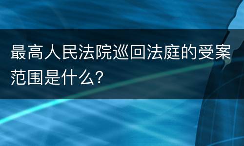 最高人民法院巡回法庭的受案范围是什么？