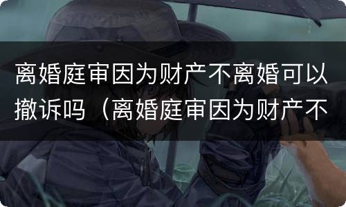 离婚庭审因为财产不离婚可以撤诉吗（离婚庭审因为财产不离婚可以撤诉吗）