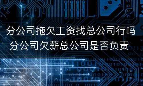 分公司拖欠工资找总公司行吗 分公司欠薪总公司是否负责