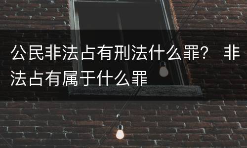 公民非法占有刑法什么罪？ 非法占有属于什么罪