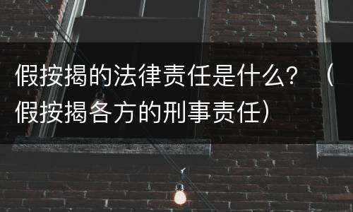 假按揭的法律责任是什么？（假按揭各方的刑事责任）