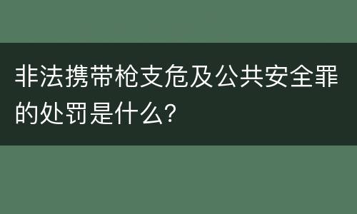 非法携带枪支危及公共安全罪的处罚是什么？