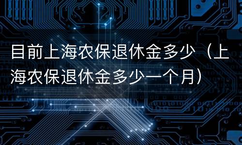 目前上海农保退休金多少（上海农保退休金多少一个月）