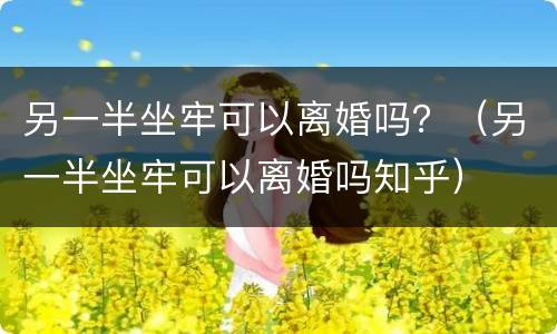 另一半坐牢可以离婚吗？（另一半坐牢可以离婚吗知乎）