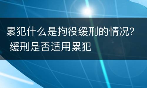 累犯什么是拘役缓刑的情况？ 缓刑是否适用累犯