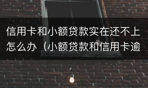 信用卡和小额贷款实在还不上怎么办（小额贷款和信用卡逾期优先还哪个）