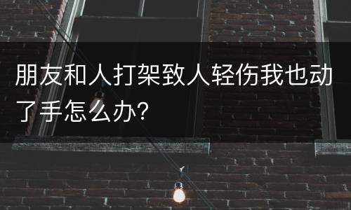 朋友和人打架致人轻伤我也动了手怎么办？