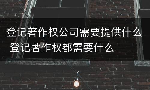 登记著作权公司需要提供什么 登记著作权都需要什么