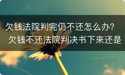 欠钱法院判完仍不还怎么办？ 欠钱不还法院判决书下来还是不还怎么办