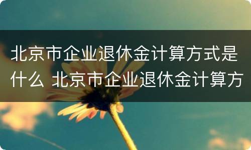 北京市企业退休金计算方式是什么 北京市企业退休金计算方式是什么意思