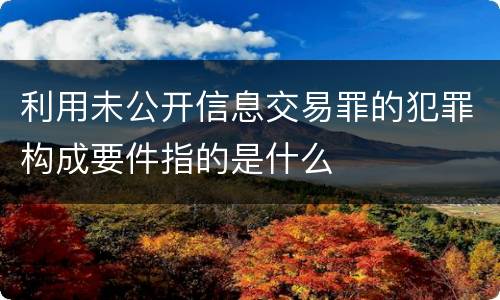 利用未公开信息交易罪的犯罪构成要件指的是什么