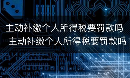 主动补缴个人所得税要罚款吗 主动补缴个人所得税要罚款吗多少钱