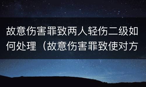 故意伤害罪致两人轻伤二级如何处理（故意伤害罪致使对方二级轻伤怎么判）