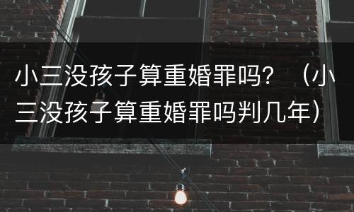 小三没孩子算重婚罪吗？（小三没孩子算重婚罪吗判几年）