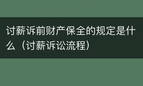 讨薪诉前财产保全的规定是什么（讨薪诉讼流程）