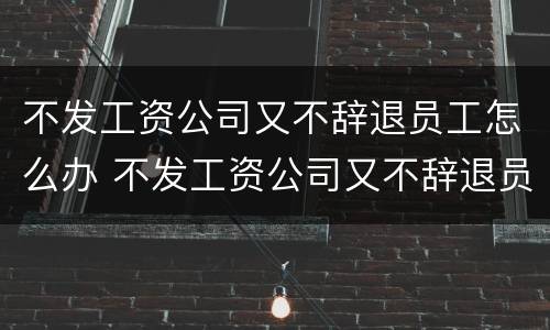 不发工资公司又不辞退员工怎么办 不发工资公司又不辞退员工怎么办呢