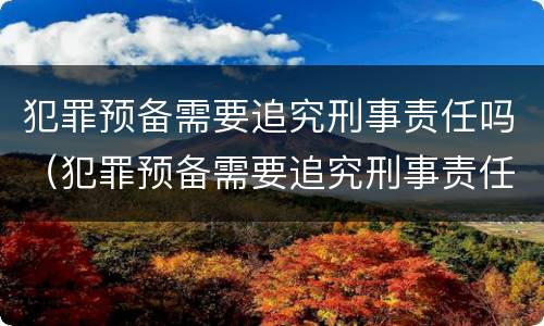 犯罪预备需要追究刑事责任吗（犯罪预备需要追究刑事责任吗对吗）