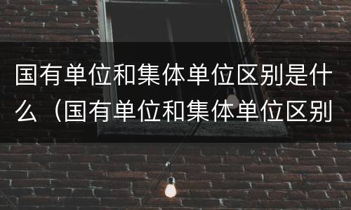 国有单位和集体单位区别是什么（国有单位和集体单位区别是什么意思）