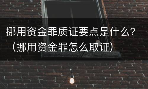 挪用资金罪质证要点是什么？（挪用资金罪怎么取证）