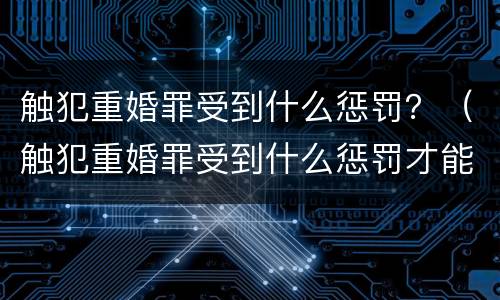 触犯重婚罪受到什么惩罚？（触犯重婚罪受到什么惩罚才能缓刑）