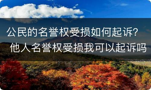 公民的名誉权受损如何起诉？ 他人名誉权受损我可以起诉吗