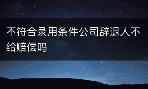 不符合录用条件公司辞退人不给赔偿吗