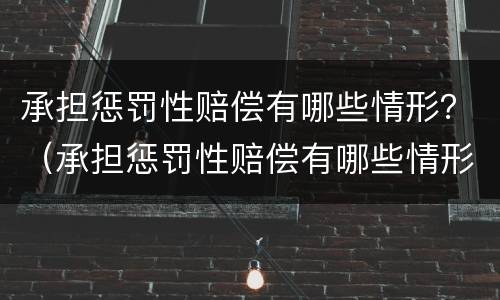 承担惩罚性赔偿有哪些情形？（承担惩罚性赔偿有哪些情形可以申请）